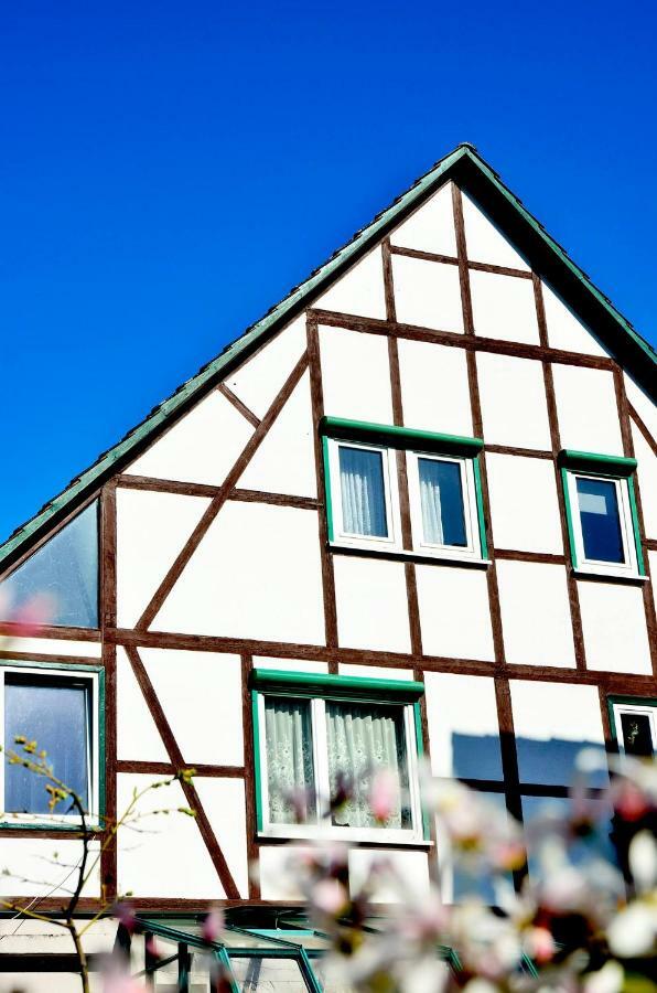 Ferienwohnung Wilhelm Springstille Ngoại thất bức ảnh